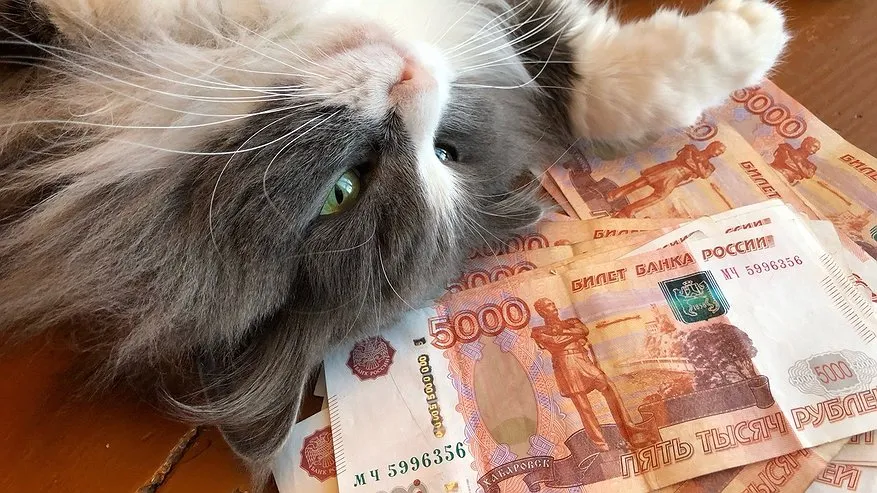 Главная картинка новости: В Костроме пенсионер выиграл миллион рублей в лотерею