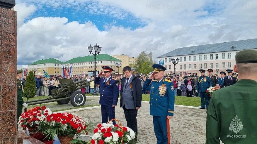 Главная картинка новости: Костромичей приглашают на онлайн-трансляцию праздничного концерта ко Дню Победы
