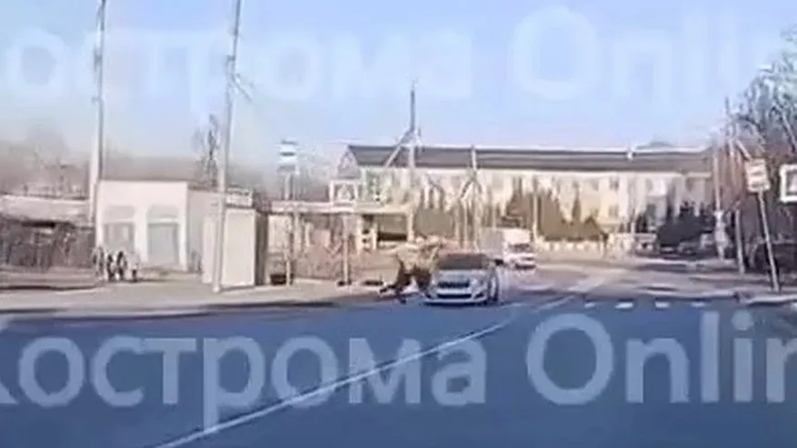 Главная картинка новости: В Костроме 70-летний пенсионер сбил двух школьников у больницы