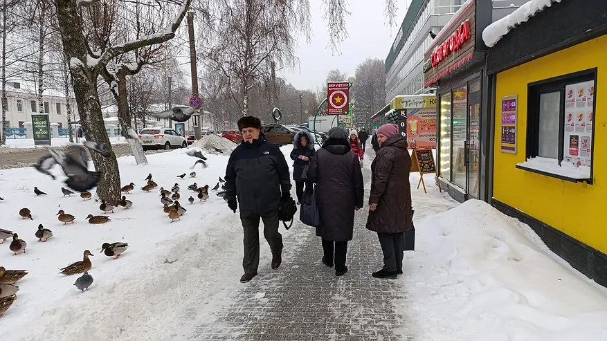 Главная картинка новости: Наступят тяжелые времена: Набиуллина обратилась к россиянам, у кого есть вклады и кредиты
