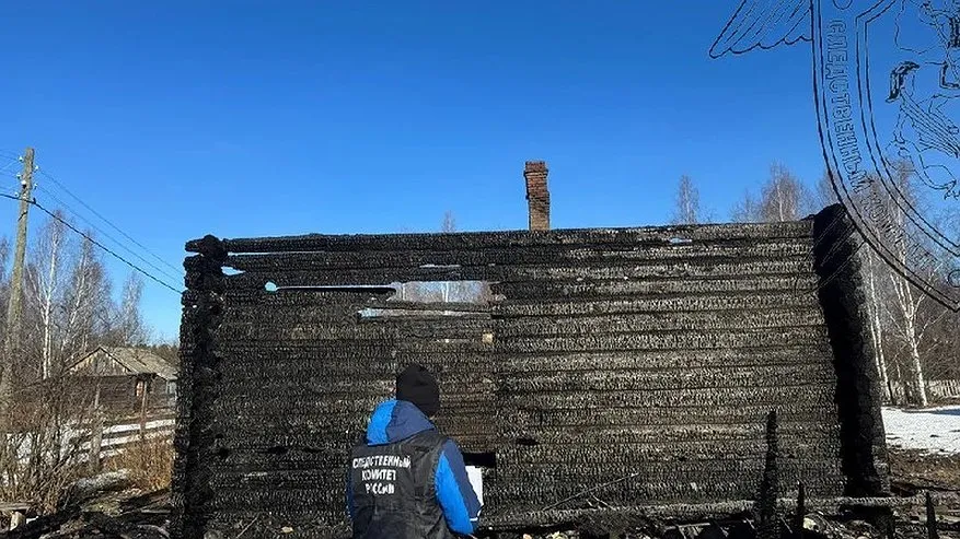 Главная картинка новости: В Кадыйском районе на пепелище спасатели нашли тело мужчины