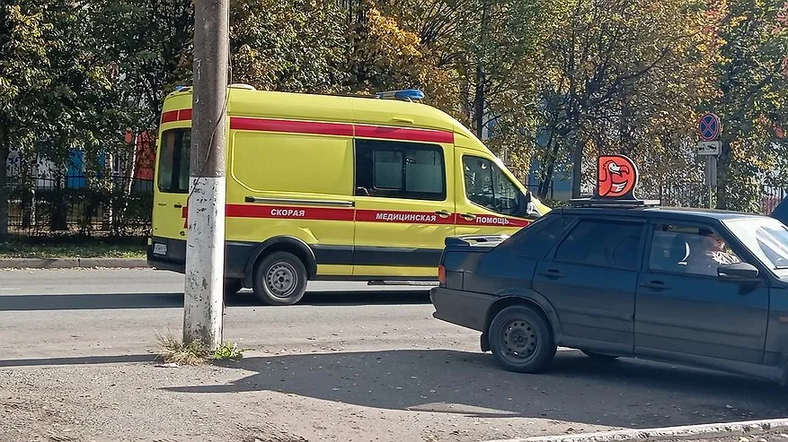 Главная картинка новости: В Костромской области зафиксировали уже 12 случаев боррелиоза