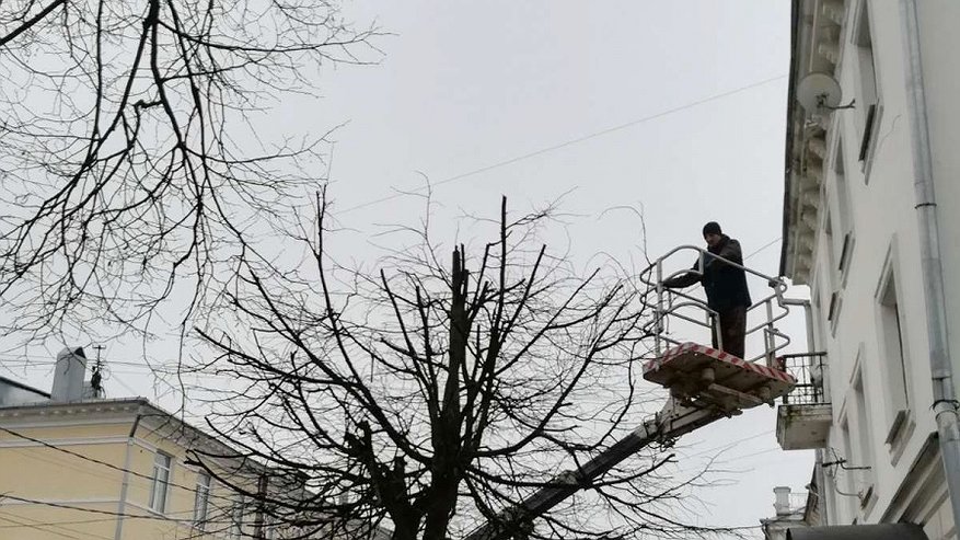 Костромским деревьям делают весеннюю стрижку