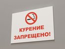 На улице Советской в Костроме, возможно, запретят курить