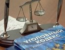 Банда школьников украла у костромичей имущества на 800 тыс. рублей