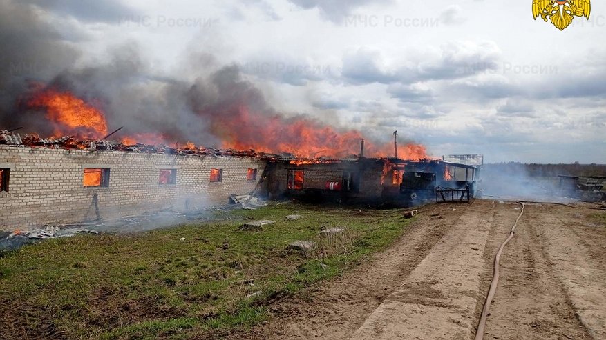 На животноводческой ферме в Буйском районе произошел крупный пожар