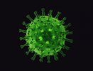 В Костроме частные лаборатории готовятся делать тесты на коронавирус