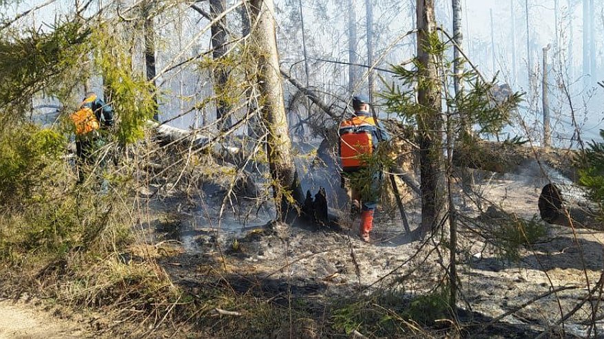 Площадь пожара в Парфеньевском районе увеличилась еще на 10 га