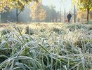 В Костромской области ожидаются заморозки