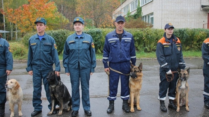 В Костроме выбирают лучшую служебную собаку МЧС  Центрального региона России