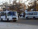 В ночь Крещения к местам купания будут ходить автобусы