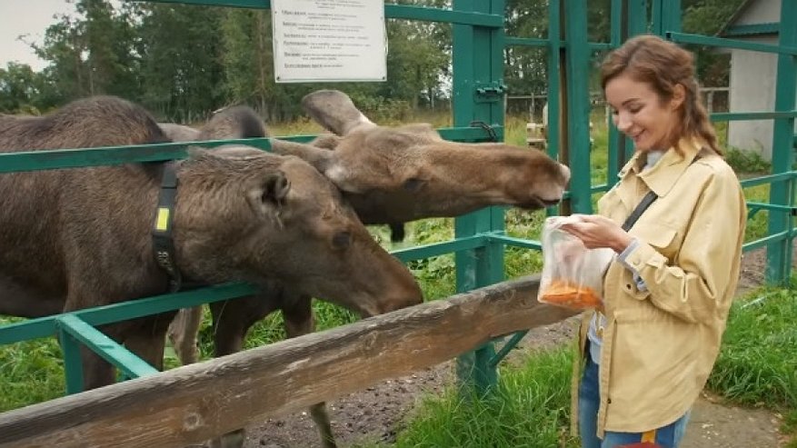 Шесть популярных телеведущих классно отдохнули в Костроме