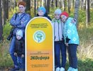 Костромские школьники организовали «тихую охоту» на птиц