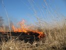 Пожарные нашли еще одного поджигателя сухой травы