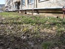 Весеннюю уборку в Костроме в этом году планируют завершить раньше сроков