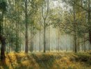Иван Корсун: «Проблемы в лесной отрасли не решались годами»