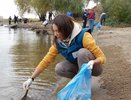 Инициативные костромичи ищут добровольцев для очистки берегов Волги