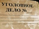 Костромич, вмешавшийся в чужую драку, случайно убил человека