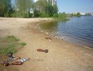 Костромичей приглашают помочь убрать городские пляжи