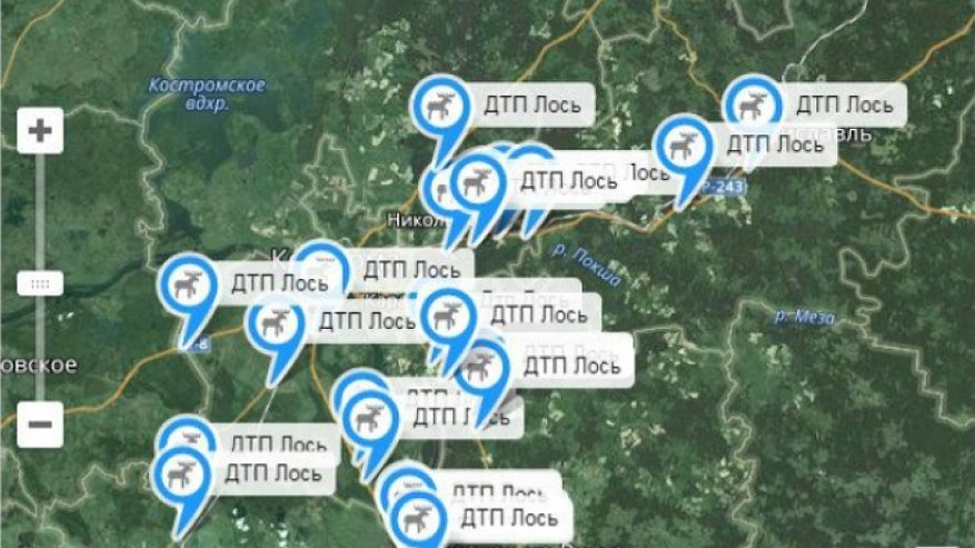 Участки дорог, где часто происходят ДТП с лосями, нанесли на интерактивную карту