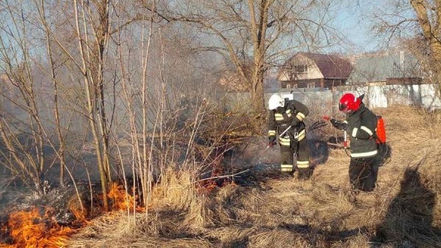 Что в лоб, что по лбу: в Костроме вновь горит сухая трава