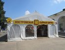 Костромская сырная биржа переезжает на новое место