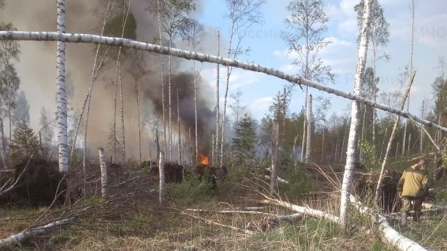 Лесной пожар в Парфеньевском районе потушен