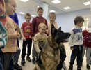 Для детей из Донбасса в Костроме организовали канистерапию