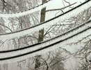Ледяной дождь оборвал провода в нескольких районах Костромской области