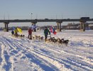 В области пройдёт 200-километровая историческая экспедиция на собачьих упряжках