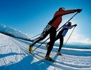 В Костроме наградят самых активных лыжников