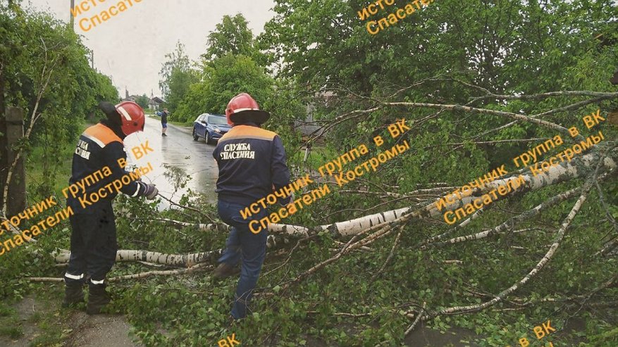 В Макарьеве шквалистый ветер повалил деревья
