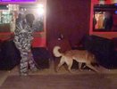 Полицейские нашли в ночном клубе сразу 6 посетителей под кайфом