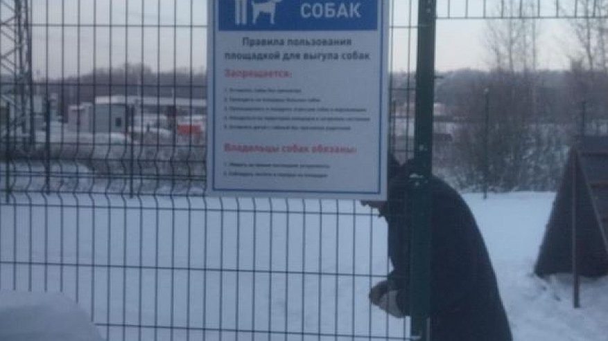 В Костроме начали оборудовать площадки для выгула собак