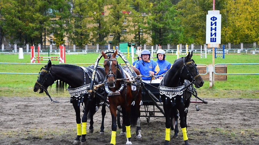 В Костроме выбрали абсолютного Чемпиона России среди русских троек