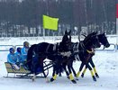 Победу на Чемпионате русских троек одержал костромич Евгений Морозов