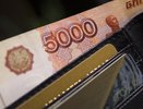 Инвестор вложил в парк «Берендеевка» почти 76 млн. руб.