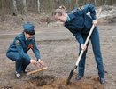 Вчера костромские спасатели и пожарные сажали сирень