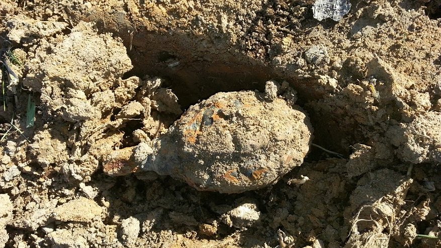 Житель Сусанинского района прямо возле своего дома нашел гранату