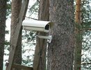 Костромские леса оборудуют видеокамерами