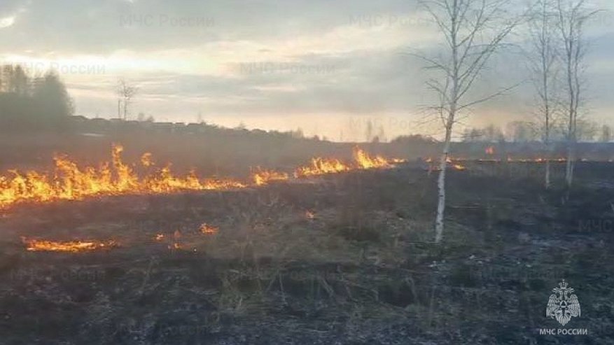 В Нерехте поймали 32-летнего поджигателя сухой травы