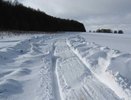 Школьники прогуляли занятия из-за чиновников