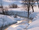 Земли «Санатория им. А.П. Бородина» в Солигаличском районе вернули области