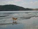 Волга представляет реальную опасность для жизни и здоровья человека