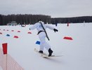 Чемпионат по охотничьему биатлону пройдет в Костромской области 18 февраля