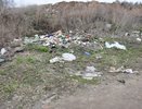 В Костроме устроят облаву на любителей выбрасывать мусор где попало