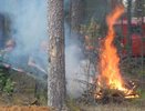 В Макарьевском районе тушили учебный лесной пожар