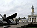 В центре Костромы расправил крылья бронзовый голубь