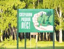 Сотрудники Департамента лесного хозяйства Костромской области подозреваются в превышении полномочий 