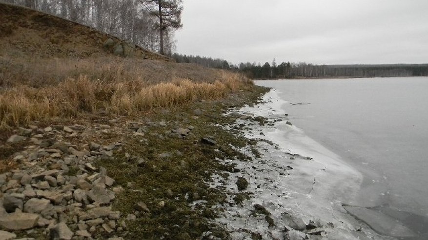 Реки и озёра в Костромской области начали покрываться льдом